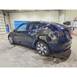 2023 TESLA MODEL Y 7SAYGDEE9PA187003 50118096