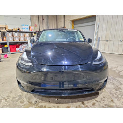 2023 TESLA MODEL Y 7SAYGDEE9PA187003 50118096