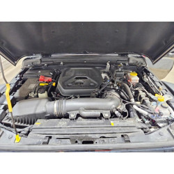 2025 JEEP WRANGLER 1C4PJXDN7SW554680 50651476
