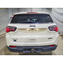 2020 JEEP COMPASS 3C4NJDBB3LT121962 51303626