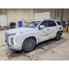 2025 HYUNDAI PALISADE KM8R7DGE7SU883064 51480346