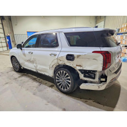 2025 HYUNDAI PALISADE KM8R7DGE7SU883064 51480346