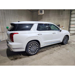 2025 HYUNDAI PALISADE KM8R7DGE7SU883064 51480346