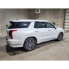 2025 HYUNDAI PALISADE KM8R7DGE7SU883064 51480346
