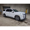 2025 HYUNDAI PALISADE KM8R7DGE7SU883064 51480346