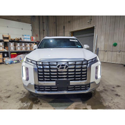 2025 HYUNDAI PALISADE KM8R7DGE7SU883064 51480346