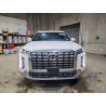 2025 HYUNDAI PALISADE KM8R7DGE7SU883064 51480346