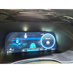 2025 HYUNDAI PALISADE KM8R7DGE7SU883064 51480346