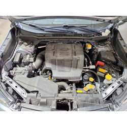 2020 SUBARU FORESTER JF2SKAJC0LH443810 53176936