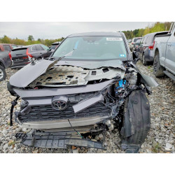 2024 TOYOTA RAV4 2T3G1RFV8RC417234 53252806