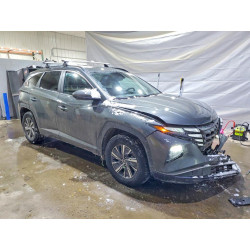 2024 HYUNDAI TUCSON HYB KM8JBCD16RU206864 75979815