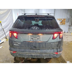 2024 HYUNDAI TUCSON HYB KM8JBCD16RU206864 75979815
