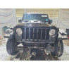 2022 JEEP WRANGLER 1C4HJXDN2NW173764 76642275