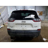 2021 JEEP CHEROKEE 1C4PJMMX0MD245583 76969335