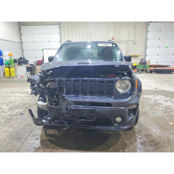 2023 JEEP RENEGADE ZACNJDE1XPPP44069 77556665