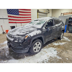 2023 JEEP COMPASS 3C4NJDBN2PT517803 78679645