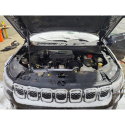 2023 JEEP COMPASS 3C4NJDBN2PT517803 78679645