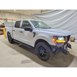 2025 FORD F150 STX 1FTEW2LP8SKD89034 78741755