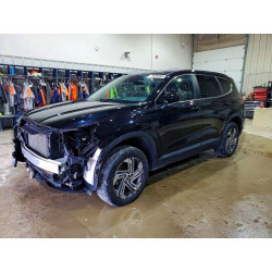 2023 HYUNDAI SANTA FE 5NMS1DAJ5PH610121 79520765