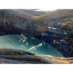 2024 HONDA CRV 7FARS4H47RE005926 79924685