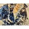 2024 HONDA CRV 7FARS4H47RE005926 79924685