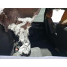 2022 CHEVROLET ALL Models 1GC4YME72NF209655 86309455
