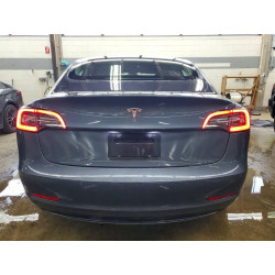 2022 TESLA MODEL 3 5YJ3E1EA1NF290022 52211596