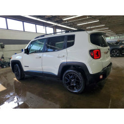2020 JEEP RENEGADE ZACNJABB8LPL91935 52896286