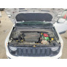2020 JEEP RENEGADE ZACNJABB8LPL91935 52896286