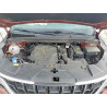 2023 KIA CARNIVAL L KNDNB4H36P6252932 52718696