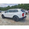 2020 KIA TELLURIDE 5XYP54HC1LG027454 52739266
