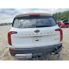 2020 KIA TELLURIDE 5XYP54HC1LG027454 52739266