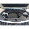 2020 KIA TELLURIDE 5XYP54HC1LG027454 52739266