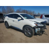 2020 NISSAN MURANO 5N1AZ2DS5LN122096 49376256