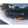 2022 CHEVROLET EQUINOX 3GNAXUEV5NL242473 73674355