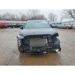 2020 HYUNDAI PALISADE KM8R5DHE2LU072472 77419705