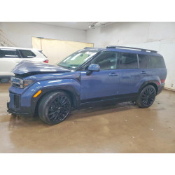 2025 HYUNDAI SANTA FE 5NMP5DGL3SH098421 77598735