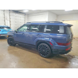 2025 HYUNDAI SANTA FE 5NMP5DGL3SH098421 77598735