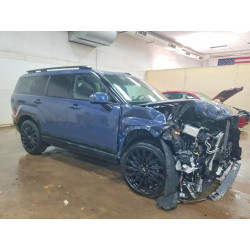 2025 HYUNDAI SANTA FE 5NMP5DGL3SH098421 77598735