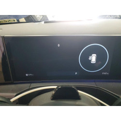 2025 HYUNDAI SANTA FE 5NMP5DGL3SH098421 77598735