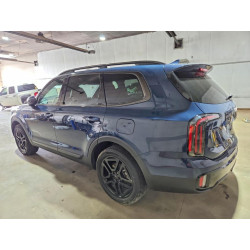2024 KIA TELLURIDE 5XYP3DGC0RG477757 51826826