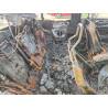 2023 MINI COOPER WMW53DH06P2T73046 47305036