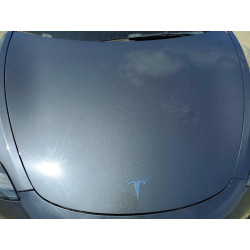 2023 TESLA MODEL 3 5YJ3E1EC7PF383860 52945626