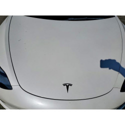 2022 TESLA MODEL 3 5YJ3E1EB3NF344655 53067236