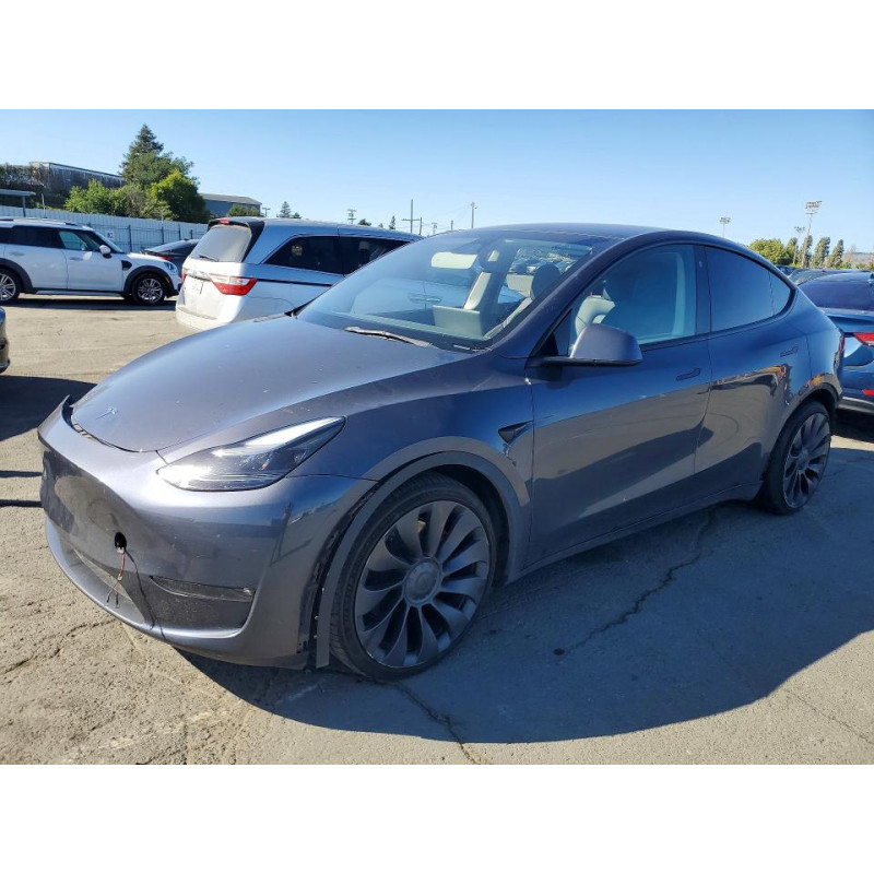 2023 TESLA MODEL Y 7SAYGDEF4PF767139 53590606