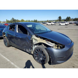 2023 TESLA MODEL Y 7SAYGDEF4PF767139 53590606