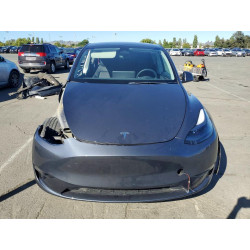 2023 TESLA MODEL Y 7SAYGDEF4PF767139 53590606