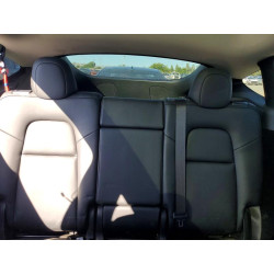 2023 TESLA MODEL Y 7SAYGDEF4PF767139 53590606