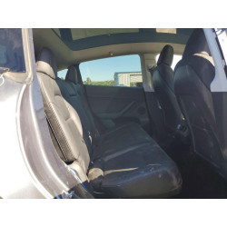 2023 TESLA MODEL Y 7SAYGDEF4PF767139 53590606