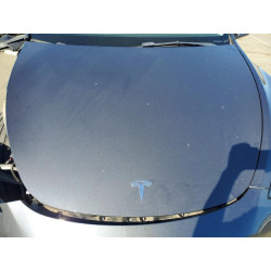 2023 TESLA MODEL Y 7SAYGDEF4PF767139 53590606